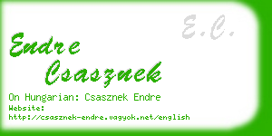 endre csasznek business card